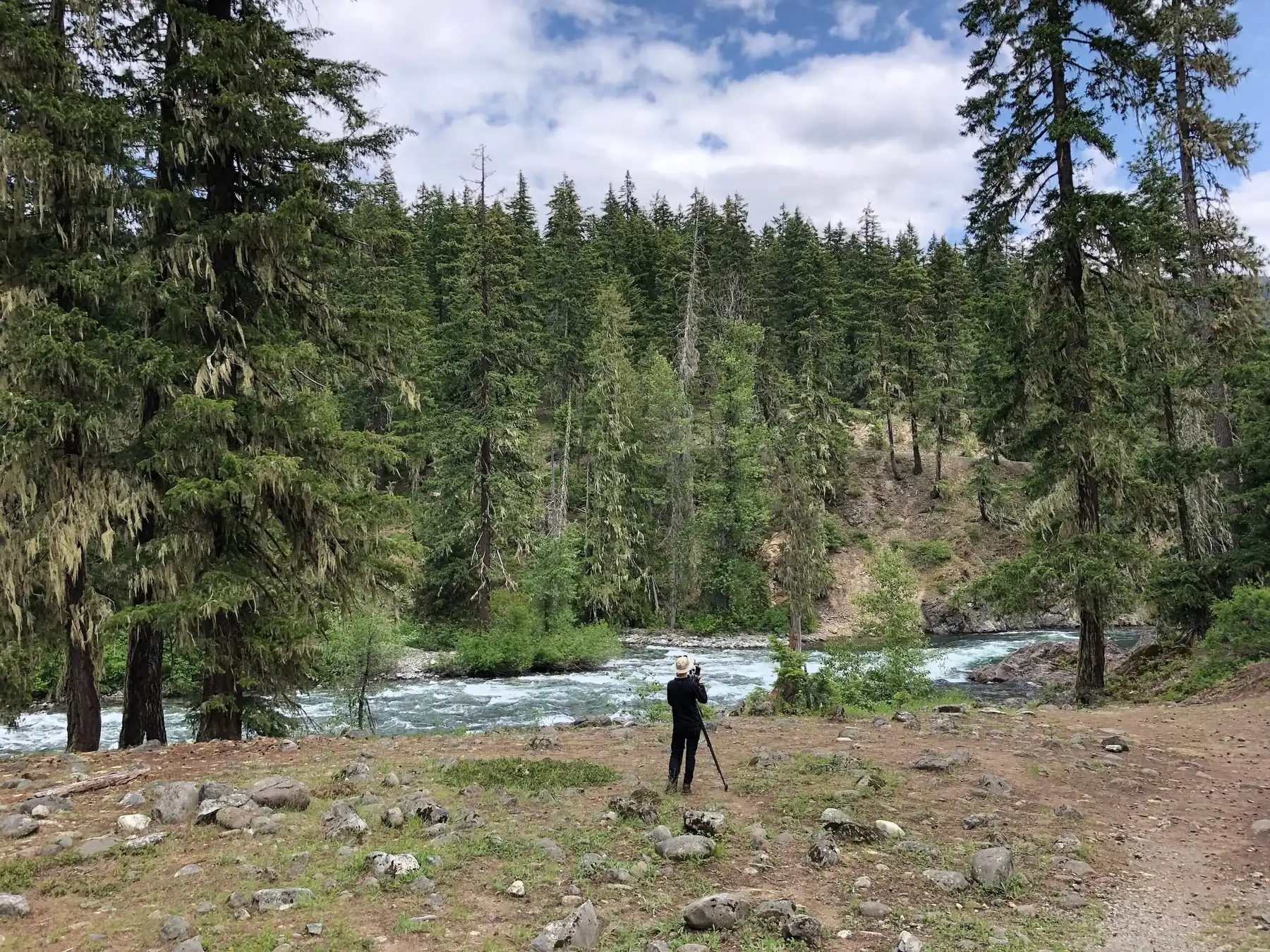 Camera operator setting up on a riverbank in a pine valley